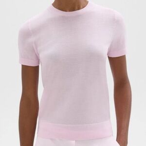 Theory Sweater Short Sleeve Tee in Regal Wool XXL in Light Pink Bloom
